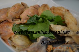 Mercan balığı tava